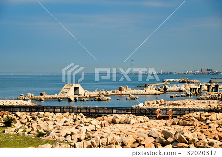 泉南里海公園[大阪府泉南三崎町] 132020312