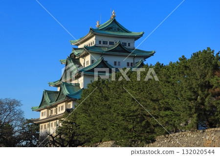 藍天映襯下的名古屋城（愛知縣） 132020544