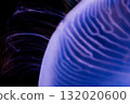 Jellyfish Planet (Close-up) 132020600