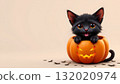 A cute black kitten is sitting inside a large orange pumpkin on what appears to be a Halloween themed background 132020974