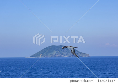 Gannets flying against the backdrop of uninhabited islands in the East China Sea Gannets flying against the backdrop of uninhabited islands in the East China Sea 132021347
