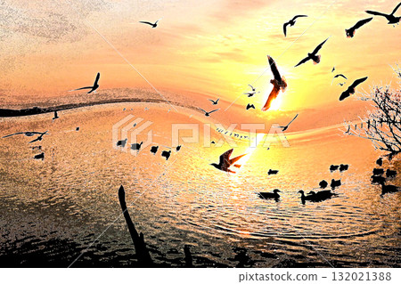 水鳥嬉戲的霞浦的第一日出 132021388