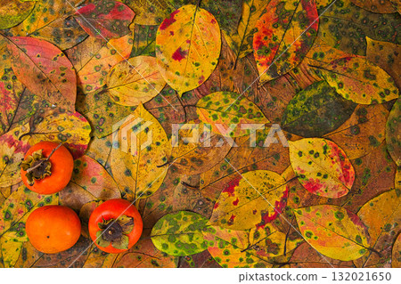 Fallen leaf frame 132021650