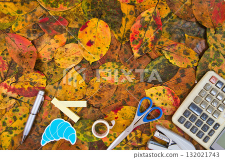 落葉框架 132021743