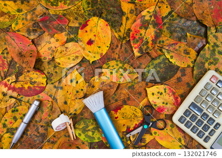 落葉框架 132021746