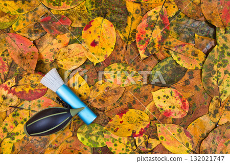 Fallen leaf frame Fallen leaf frame 132021747