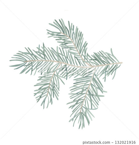 Watercolor green spruce branch isolated illustration. Fir, coniferous branches natural forest Christmas tree. needles branches hand drawn. holiday decor with fir branch. holiday celebration decoration Watercolor green spruce branch isolated illustration. Fir, coniferous branches natural forest Christmas tree. needles branches hand drawn. holiday decor with fir branch. holiday celebration decoration 132021916