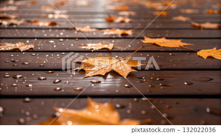 Golden autumn leaves resting on wooden deck after gentle rainfall in serene setting Golden autumn leaves resting on wooden deck after gentle rainfall in serene setting 132022036