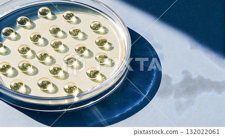 Bubbles arranged in a petri dish under natural light on a blue surface Bubbles arranged in a petri dish under natural light on a blue surface 132022061
