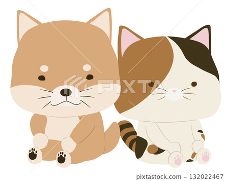 Shiba Inu and calico cat Shiba Inu and calico cat 132022467