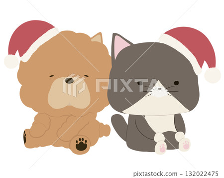 Chow Chow and calico cat wearing Santa hats 132022475