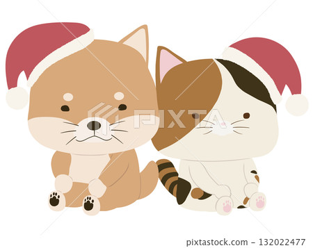 Shiba Inu and calico cat wearing Santa hats Shiba Inu and calico cat wearing Santa hats 132022477