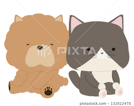 鬆獅犬和三色貓 132022478