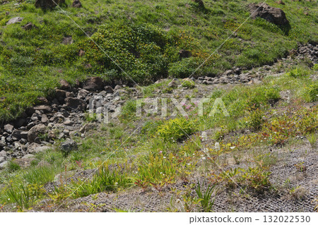 日本：八方尾根/白馬植物自然步道/長野縣，九月 132022530