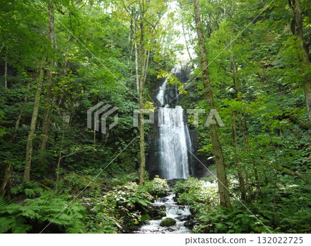 Kumoi Falls flowing through the forest 132022725