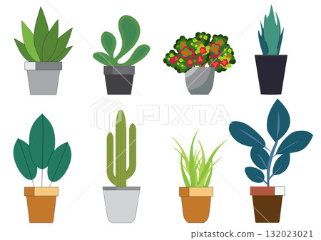 Various types of potted plants isolated on white background. 132023021