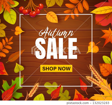 Autumn sale banner with wooden board, fall season leaves and berries. Vector promotional coupon with colorful fall leaves, berries, wheat ears and shop now button. Seasonal commercial promo message Autumn sale banner with wooden board, fall season leaves and berries. Vector promotional coupon with colorful fall leaves, berries, wheat ears and shop now button. Seasonal commercial promo message 132023283