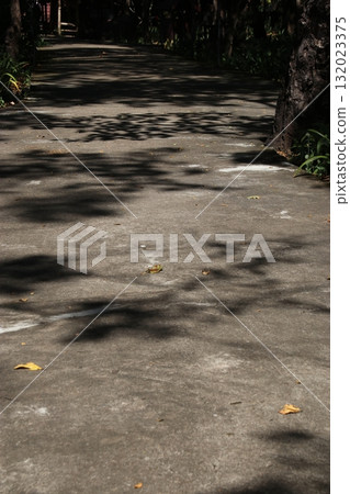 Kone Phapheng 瀑布長廊 132023375