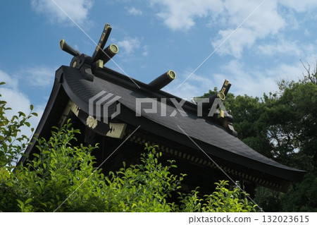 Washimiya Shrine 132023615