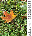 autumn leaves on the ground 132024983