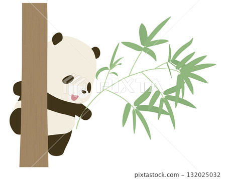 微笑的熊貓爬上竹樹 132025032