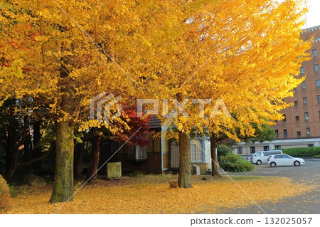 一橋大學國立城市 132025057