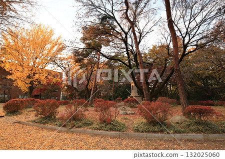 一橋大學國立城市 一橋大學國立城市 132025060