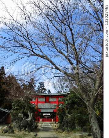 Iwamatsu Hachiman Shrine (March 26, 2012) Approaching the torii gate from a vertical position. Large trees surround the approach to the shrine. Iwamatsu Hachiman Shrine (March 26, 2012) Approaching the torii gate from a vertical position. Large trees surround the approach to the shrine. 132025465