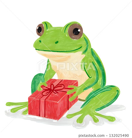青蛙拿著聖誕禮物 132025490