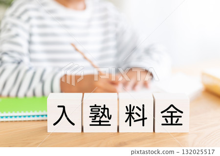 學校入學費塊和小學男孩學習 132025517