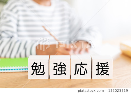 學習支持區塊和小學男孩學習 132025519