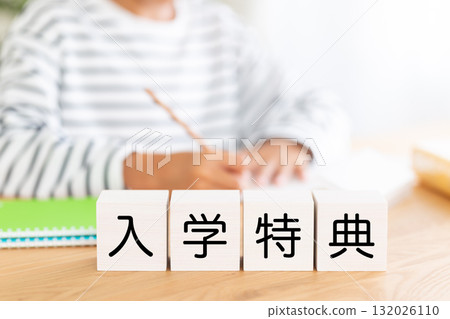 小學男孩在學校入學特權區學習 132026110