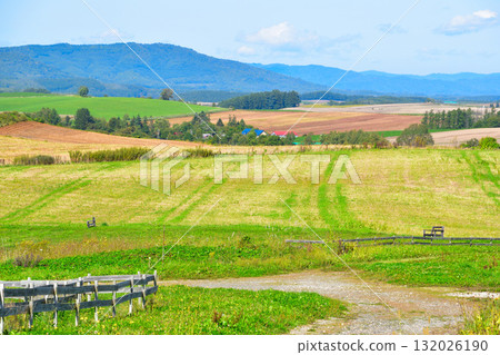 Summer Biei Town 132026190