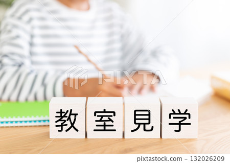 課堂參觀街區和小學男孩學習 132026209