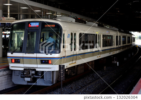 221 series special rapid train Expoliner 132026304