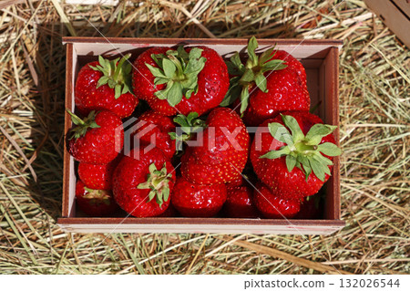 Fresh strawberries resting in wooden crates on straw Fresh strawberries resting in wooden crates on straw 132026544