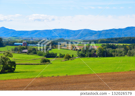 Summer Biei Hills Summer Biei Hills 132026579