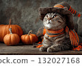Adorable tabby cat wearing witch hat sits near pumpkins on a wooden surface 132027168