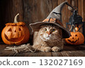 Adorable tabby cat wearing witch hat sits near pumpkins on a wooden surface 132027169