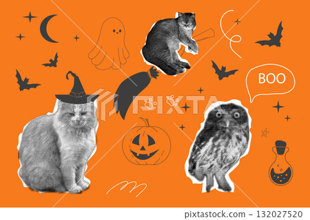Halloween collage cat with witch hat torn paper, bat, ghost, funny owl doodle swirl background. Retro y2k poster, banner. Trick or treat spooky trendy poster. 132027520