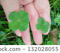 The harmony of four-leaf clover and five-leaf clover 132028055