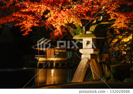 The Kishin lanterns and Uchihashitei lanterns illuminate the night scenery of Kanazawa's Kenrokuen Garden, creating a fantastical illumination of the beautiful autumn leaves. 132028086