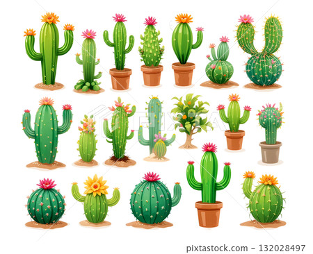 Collection of various green cacti and succulents in terracotta pots and on the ground, some with pink and orange flowers. 132028497