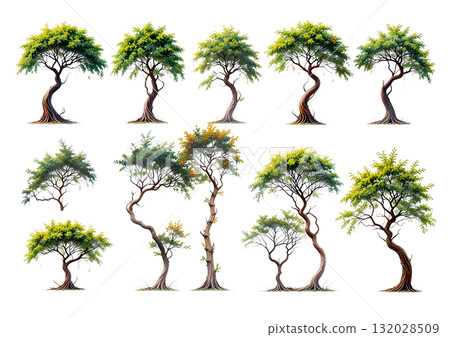 Collection of stylized tropical/semi-arid trees with gracefully curved trunks and green foliage, ideal for unique landscape designs. Collection of stylized tropical/semi-arid trees with gracefully curved trunks and green foliage, ideal for unique landscape designs. 132028509