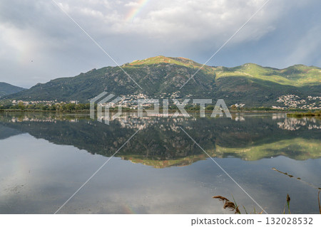 Flamingoes at dawn pastel colors in middle of water pond Biguglia in Corsica near Bastia Tall grasses on the background 132028532