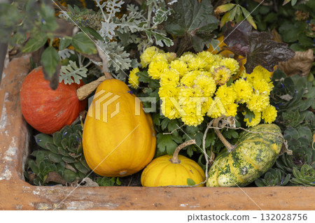 Autumn gourds and yellow chrysanthemums decorating terracotta planter Autumn gourds and yellow chrysanthemums decorating terracotta planter 132028756