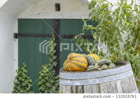 Autumn pumpkins resting on wooden wine barrel in Austria 132028761