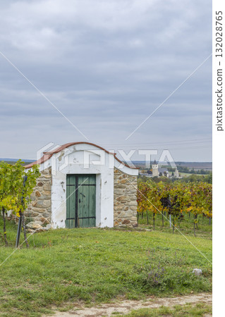 Traditional wine cellar in Zellerndorf vineyard during autumn Traditional wine cellar in Zellerndorf vineyard during autumn 132028765
