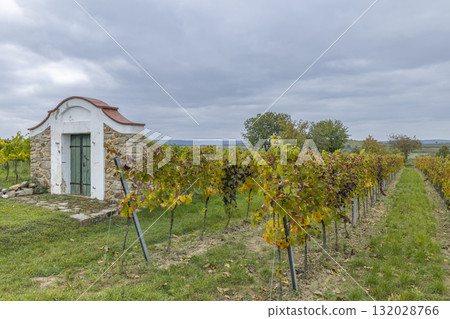 Old wine cellar standing in Zellerndorf vineyard during autumn Old wine cellar standing in Zellerndorf vineyard during autumn 132028766