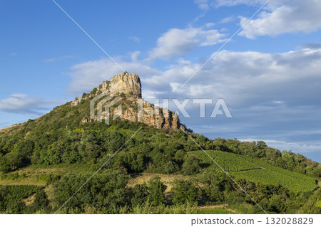 Roche de Solutre rock formation with blooming vineyards 132028829